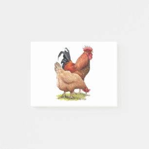 Post-it® Poulets : Dessin au crayon couleur Hen et Roster