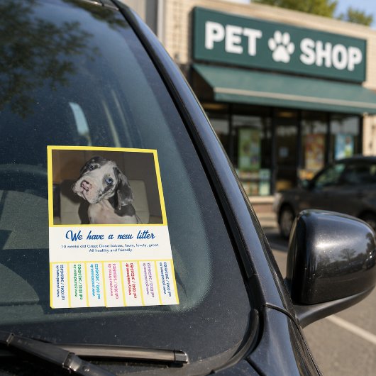 Post-it® Pour vendre des chiots Dane colorés
