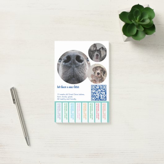Post-it® Pour vendre des chiots danois colorés (Bureau)