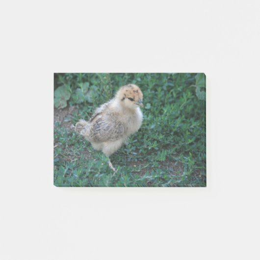 Post-it® Poussin (Devant)