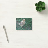 Post-it® Poussin (Bureau)