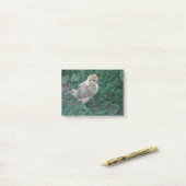 Post-it® Poussin (Sur un bureau)