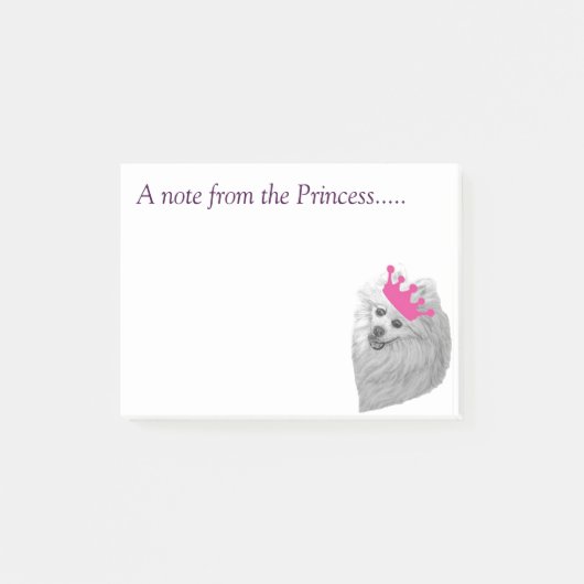 Post-it® Princesse Pomeranian note des illustrations (Devant)