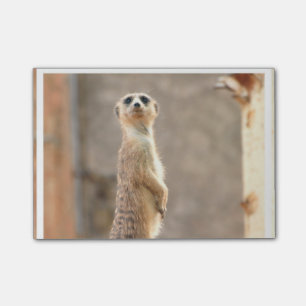 Post-it® Produit de personnaliser