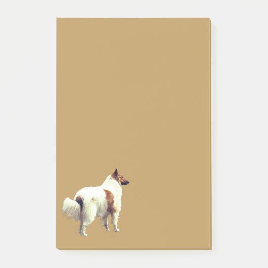 Post-it® Publier les notes Collie (Devant)