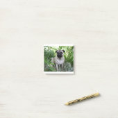 Post-it® pug assis (Sur un bureau)