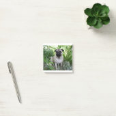 Post-it® pug assis (Bureau)