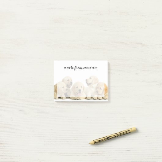 Post-it® Pupin doré du Labrador (Sur un bureau)