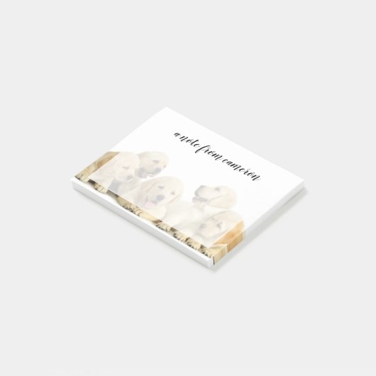 Post-it® Pupin doré du Labrador (Incliné)