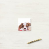 Post-it® Puppy Cavalier King Charles Spaniel Post It Notes (Sur un bureau)