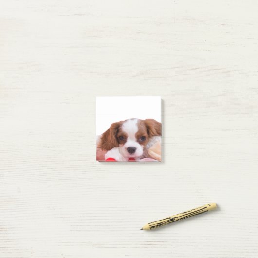 Post-it® Puppy Cavalier King Charles Spaniel Post It Notes (Sur un bureau)