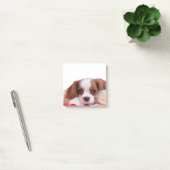 Post-it® Puppy Cavalier King Charles Spaniel Post It Notes (Bureau)