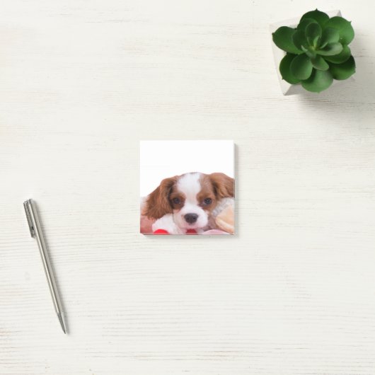 Post-it® Puppy Cavalier King Charles Spaniel Post It Notes (Bureau)
