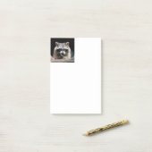 Post-it® Raccoon 004 (Sur un bureau)