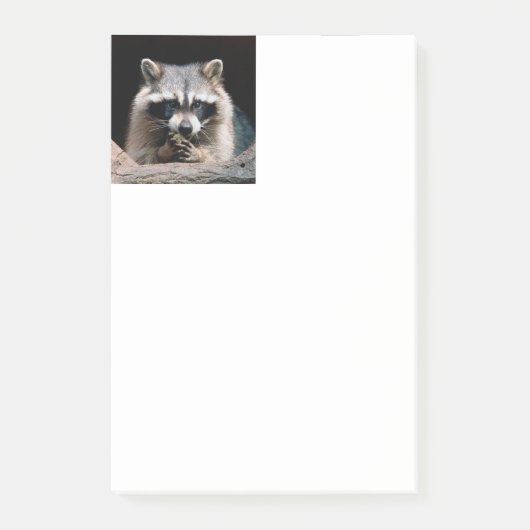 Post-it® Raccoon 004 (Devant)