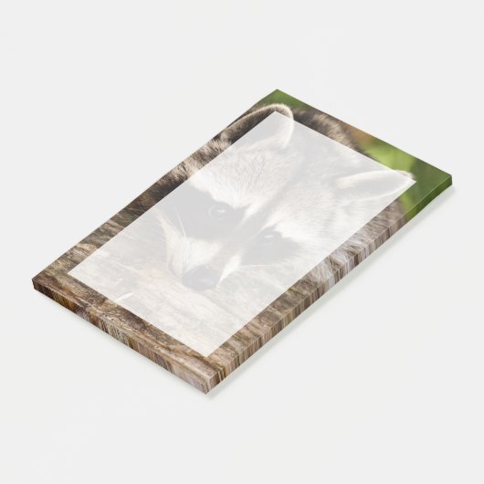 Post-it® Raccoon mignon reposant sur un journal (Incliné)