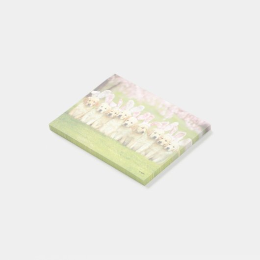 Post-it® Rangée de lapins chiots (Incliné)
