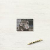Post-it® Rat curieux (Sur un bureau)