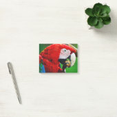 Post-it® Red-and-green Macaw (Bureau)