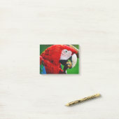 Post-it® Red-and-green Macaw (Sur un bureau)