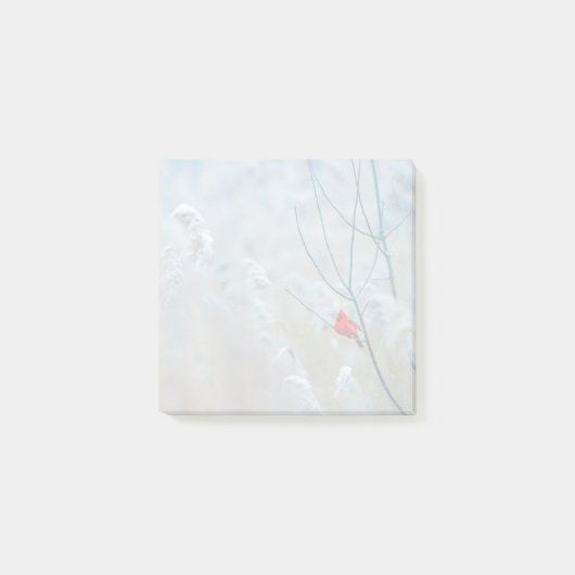Post-it® Red Cardinal dans Winter Nature Photo de Christmas (Devant)