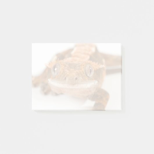 Post-it® Regard fixe de Gecko (Devant)
