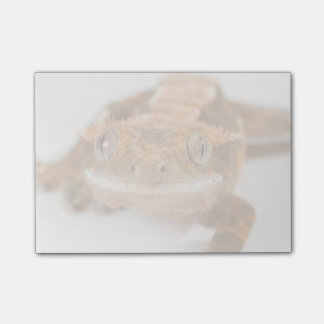 Post-it® Regard fixe de Gecko