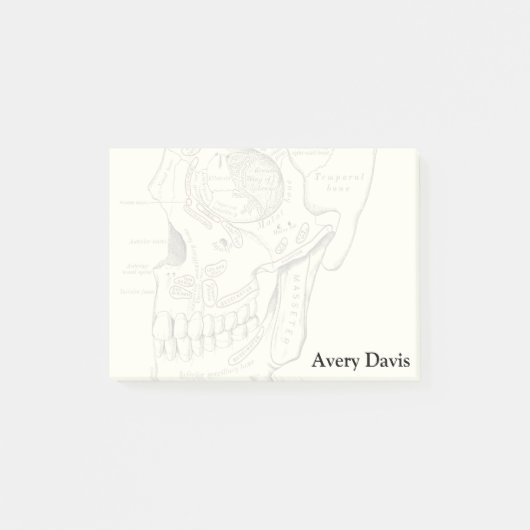 Post-it® Région vintage d'Anterolateral d'anatomie du crâne (Devant)