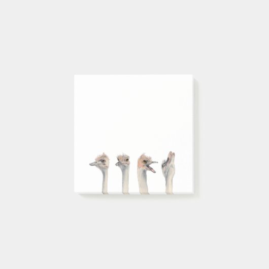 Post-it® Reine drôle de drame de l'aquarelle | d'oiseaux (Devant)