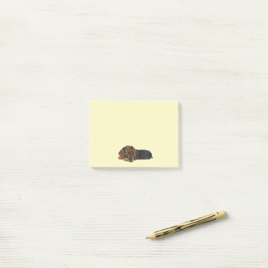 Post-it® Repose des notes post-it Dachshund (Sur un bureau)