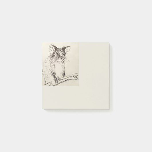 Post-it® Ringtail Possum Australie (Devant)