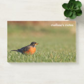 Post-it® Robin américain de l'herbe d'hiver (Bureau)