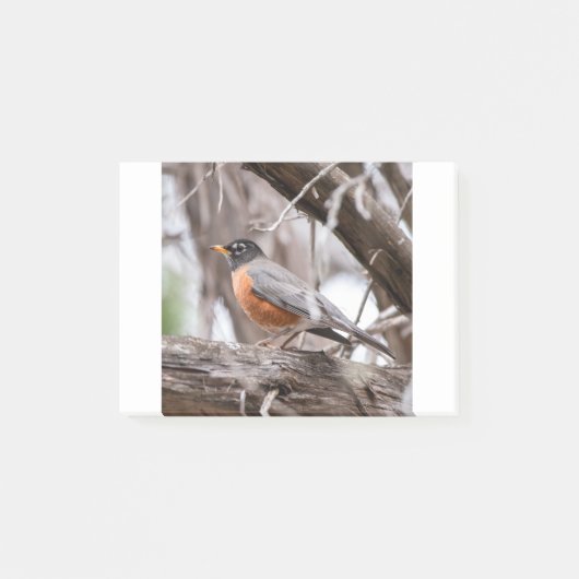 Post-it® Robin in the trees (Devant)