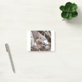 Post-it® Robin in the trees (Bureau)