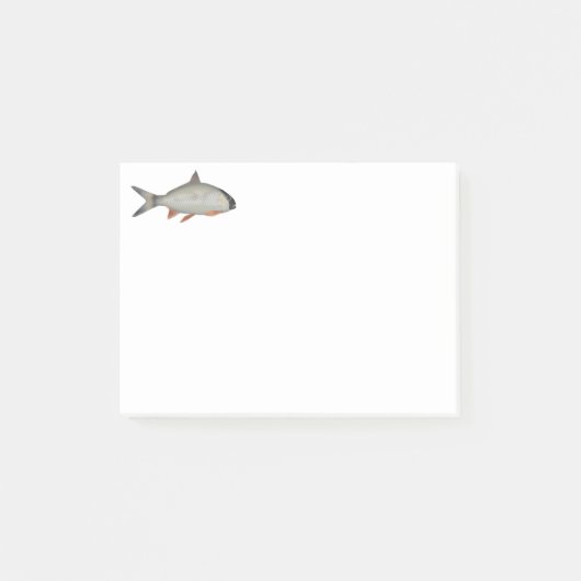 Post-it® Roi Poisson Assamais (Devant)