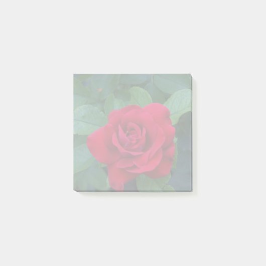 Post-it® Rose rouge proche (Devant)
