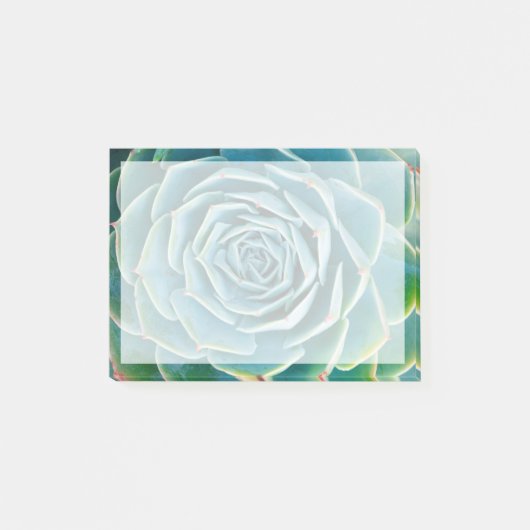 Post-it® Rosette d'Echeveria, Jardin Secret de Marrakech (Devant)