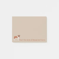 Saint Bernard Personnaliser