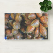 Post-it® Salak [Fruit du Serpent] (Bureau)