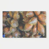 Post-it® Salak [Fruit du Serpent] (Devant)