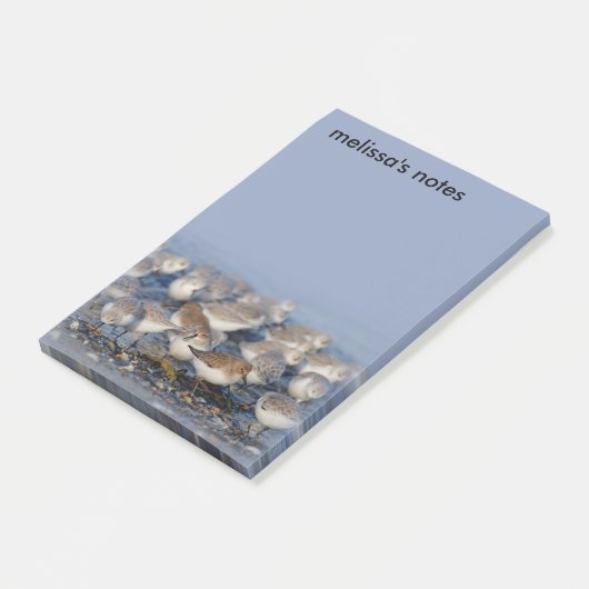 Post-it® Sanders Dunlins Sanders à la plage (Incliné)