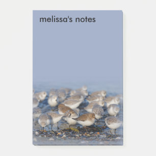 Post-it® Sanders Dunlins Sanders à la plage