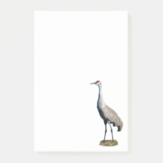 Post-it® Sandhill Crane Photo 4x6 Notes (Devant)