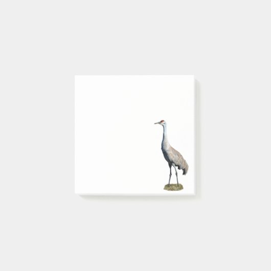 Post-it® Sandhill Crane Photo Post-it Notes (Devant)