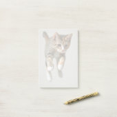 Post-it® Sauter de chat de calicot (Sur un bureau)