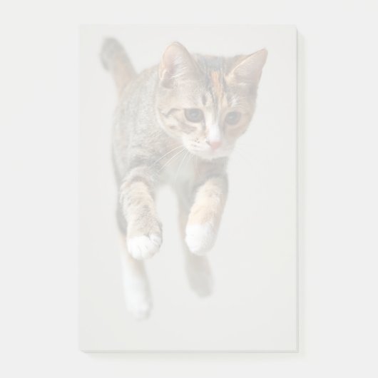 Post-it® Sauter de chat de calicot (Devant)