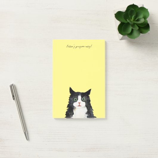 Post-it® Scruffy tuxedo cat (Bureau)