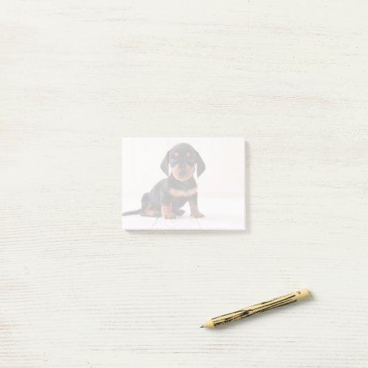 Post-it® Séance miniature de teckel (Sur un bureau)