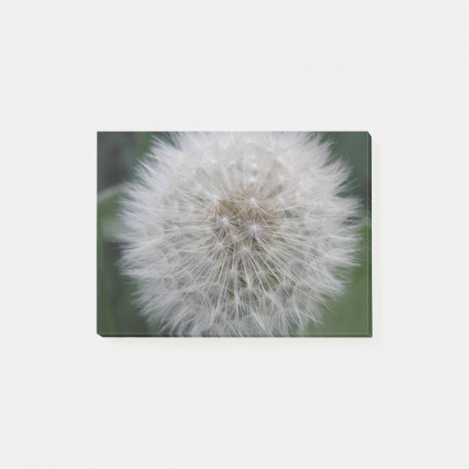 Post-it® Semer Dandelion Flower Post il note Pad (Devant)