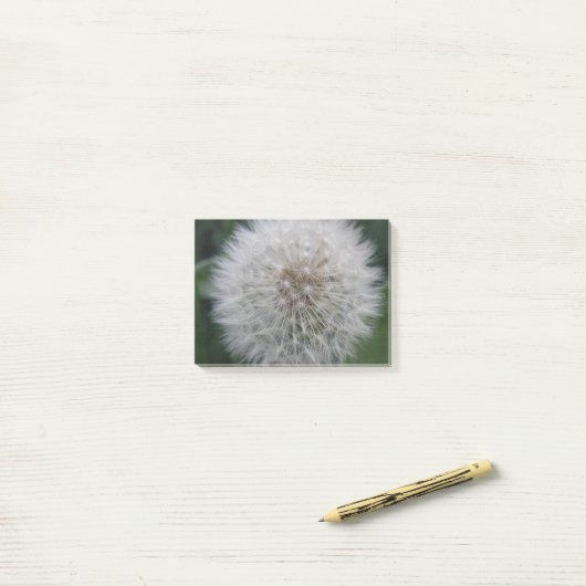 Post-it® Semer Dandelion Flower Post il note Pad (Sur un bureau)